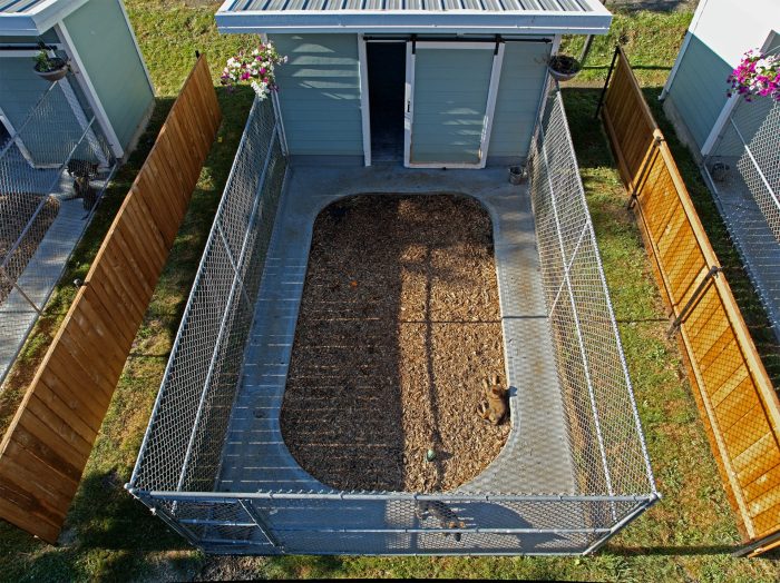 Premium kennel suite