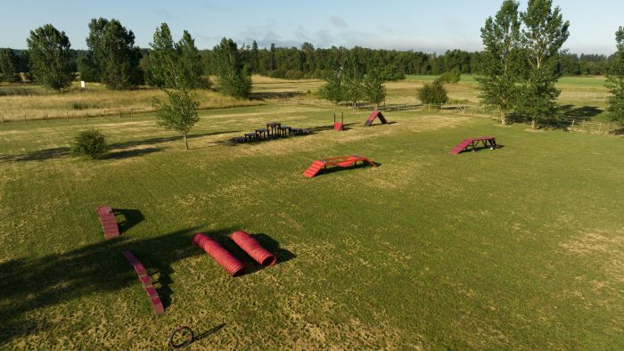 Agility training course at EdelHaus