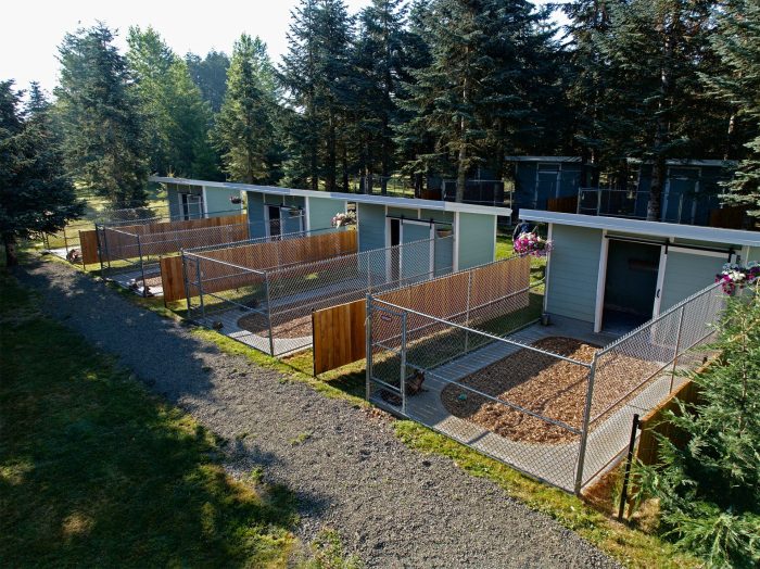 Outdoor kennel runs at EdelHaus