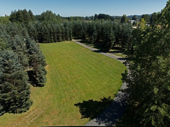 15-acre grounds at EdelHaus Pet Resort