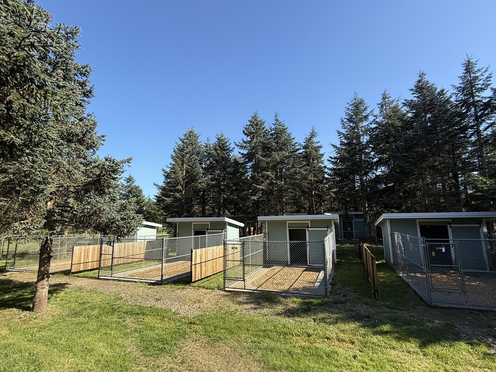 Row of dog kennel buildings among evergreen trees at EdelHaus
