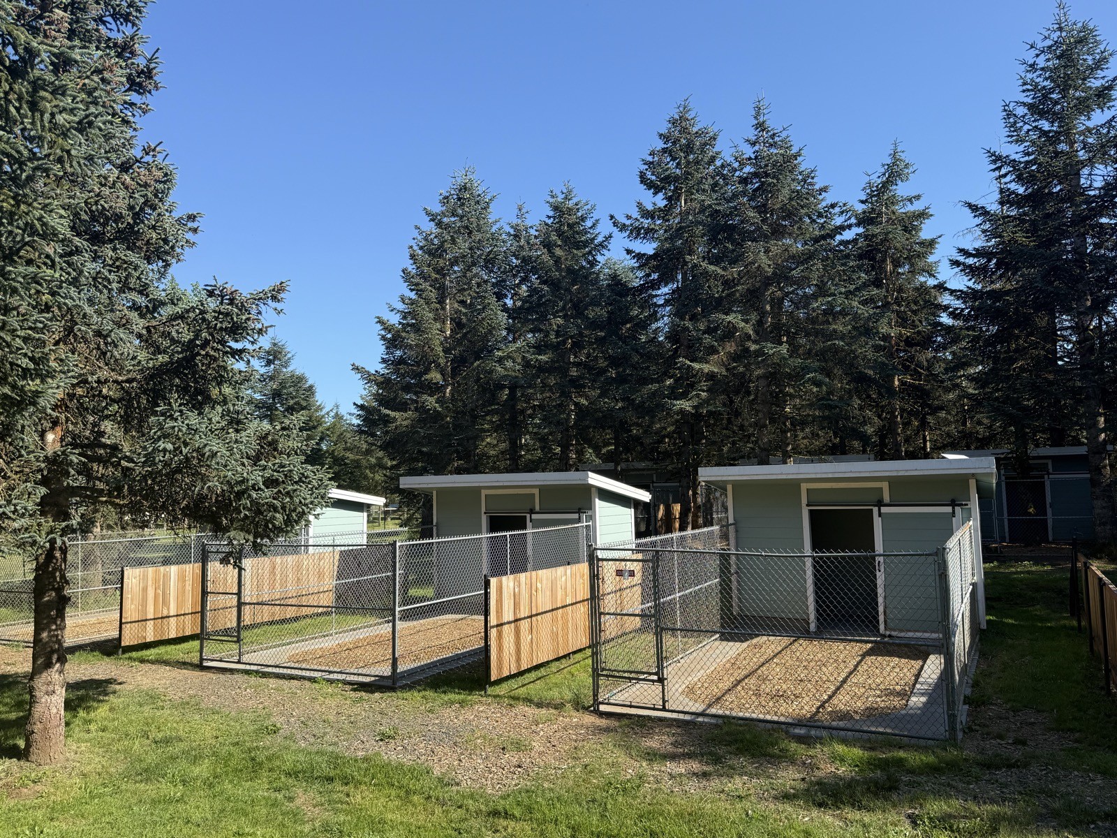 Modern dog kennel suites with covered outdoor runs at EdelHaus